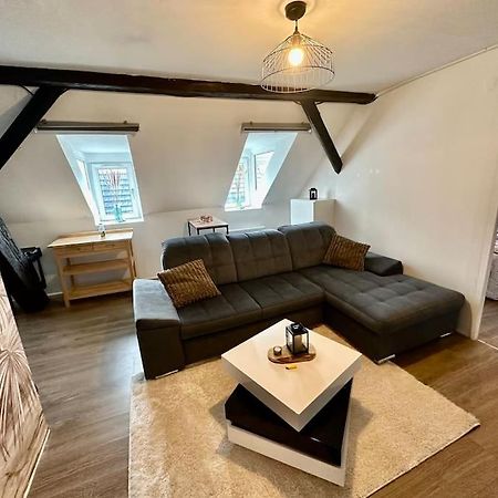 Logement Entier Au Coeur De שטרסבורג מראה חיצוני תמונה